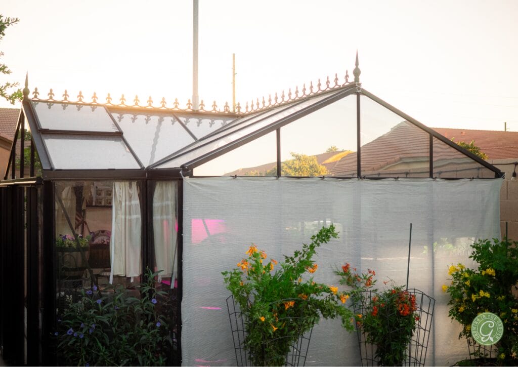 Typically, a greenhouse is placed in an area with the most sunlight. However, in a hot summer climate, taking advantage of locations that offer natural shade is crucial. Here are a few considerations about where to position your greenhouse.