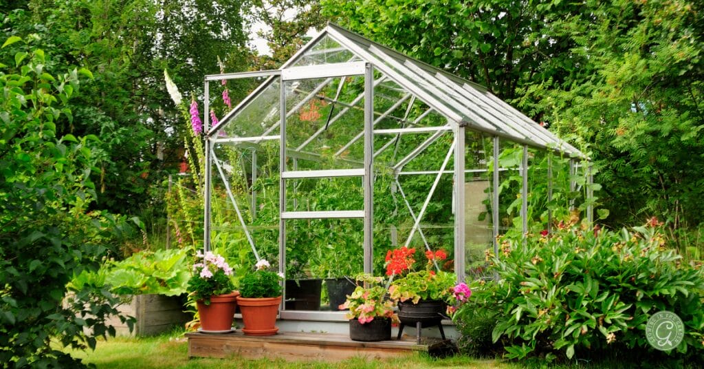 Greenhouses come in various shapes, sizes, and use of materials. Available types include traditional, hoop houses, lean-to’s, cold frames, polytunnels, and attached solariums.
