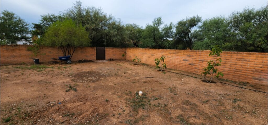 Sunken Garden Beds: Water-Wise Gardening in the Desert
