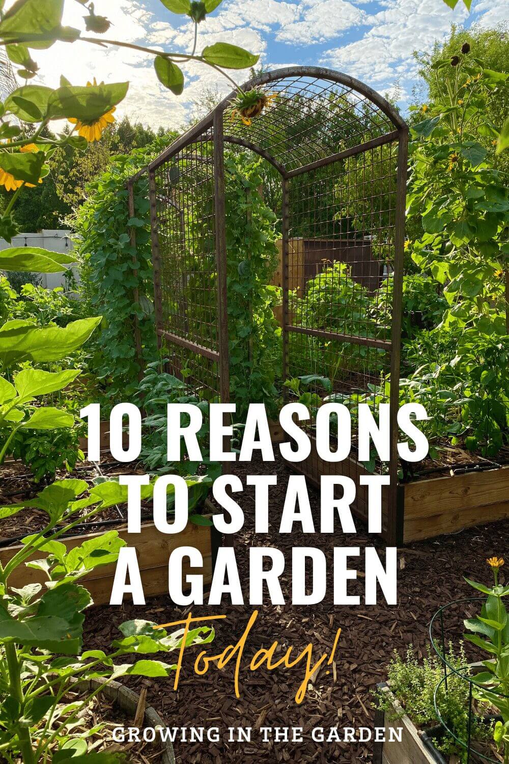 10 Reasons to Start a Garden Today