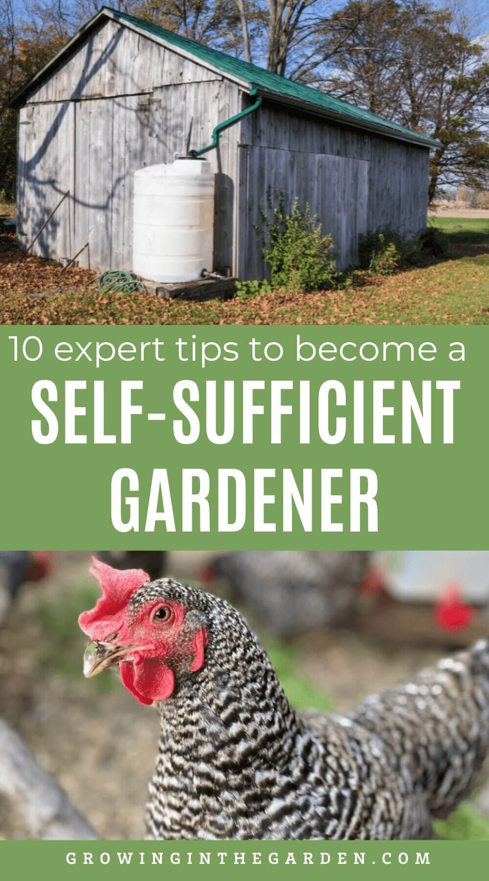 If this post about self-sufficient gardening was helpful, please share it: 