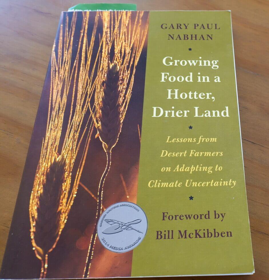 Sunken Garden Beds: Water-Wise Gardening in the Desert - History of Sunken Garden Beds in the Sonoran Desert