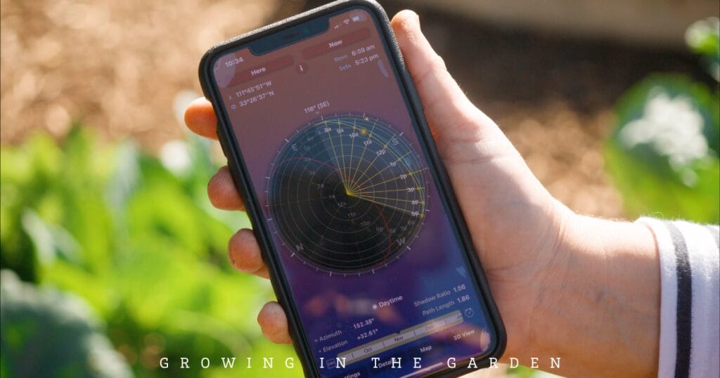 10 New Gardener Mistakes: What To Do Instead