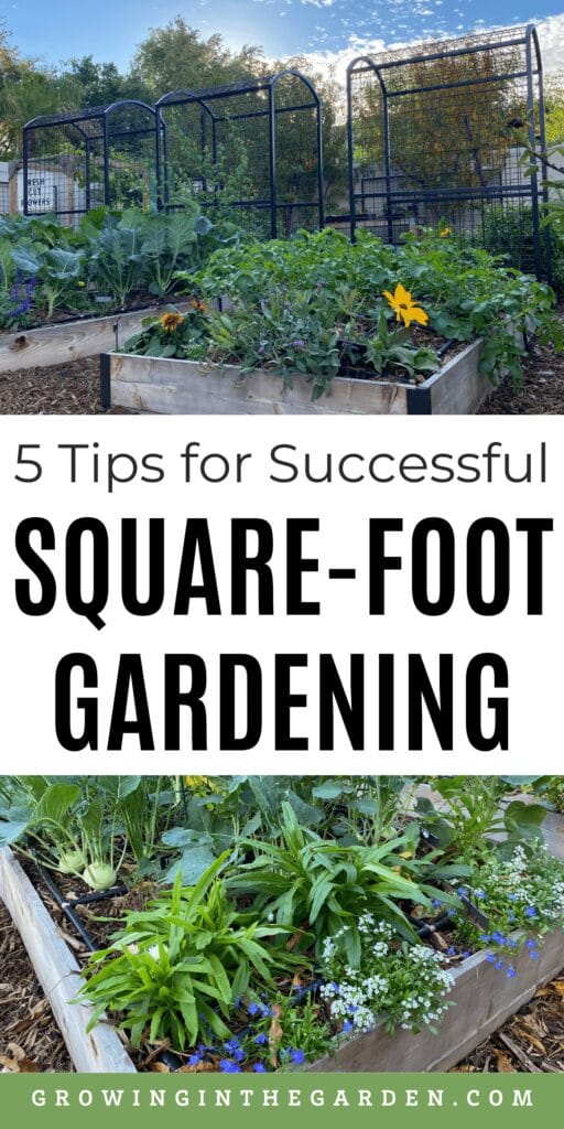 5 Tips for a Successful Square Foot Garden