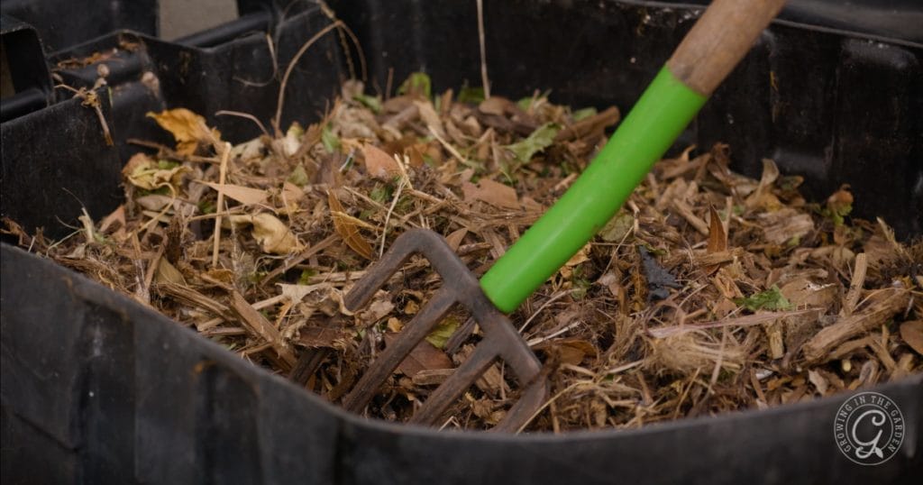 How to Start a Garden on a Budget