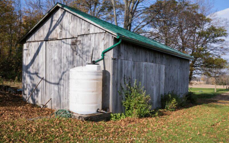 Collecting and saving rainwater for use in the garden makes sense and was a common practice by our ancestors. 