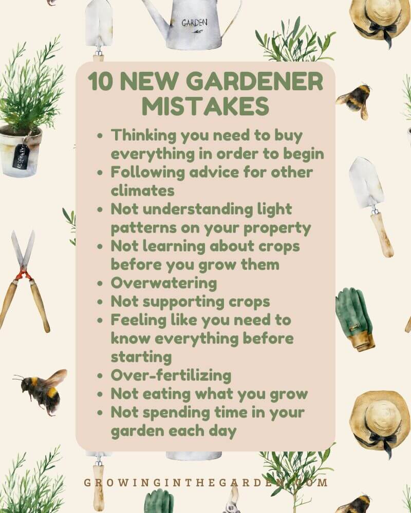 10 New Gardener Mistakes Infographic