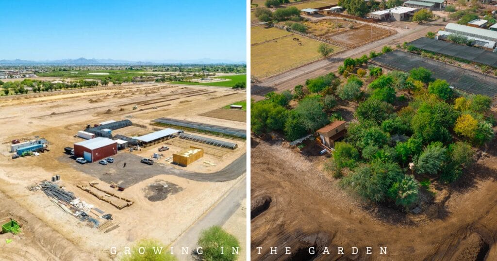 Before and after images of the food forest at Arizona Worm Farm