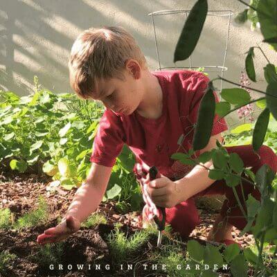 10 Reasons to Start a Garden: Gardening keeps you active and gets you outside