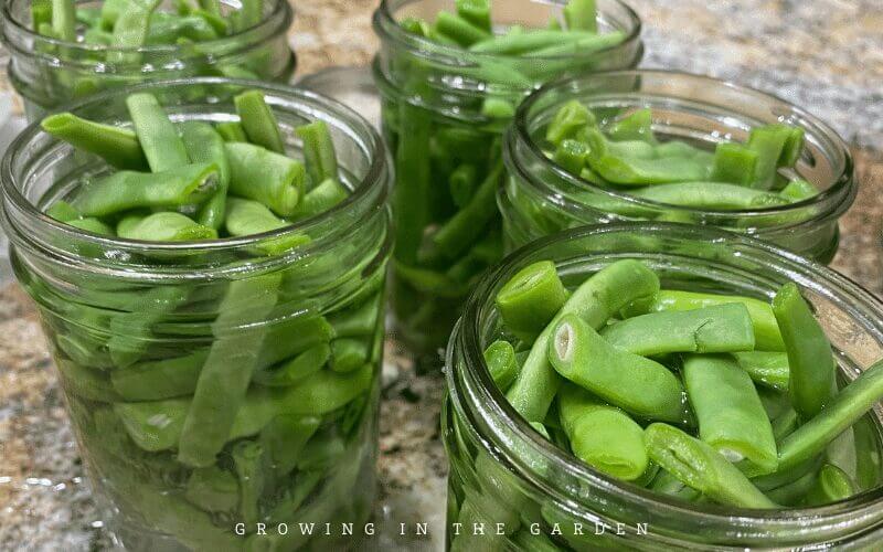 More access to fresh fruits and vegetables