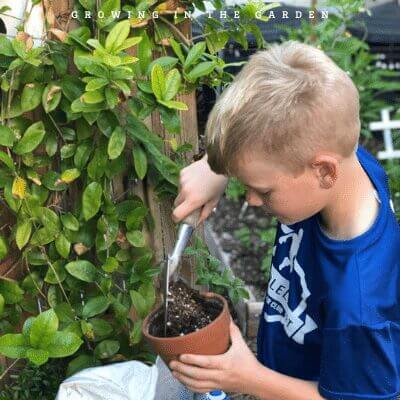 10 Reasons to Start a Garden: Gardening keeps you active and gets you outside