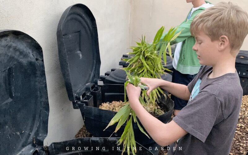 10 Reasons to Start a Garden: Reduced waste and energy consumption