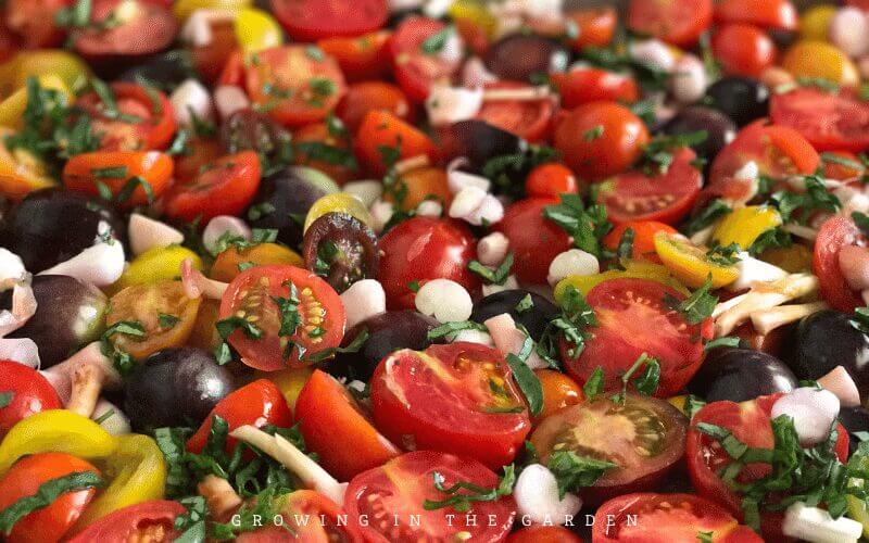 10 Reasons to Start a Garden