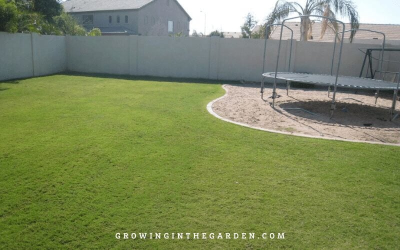 Raised Bed Garden design tips: How to design a raised bed garden #raisedbeds #gardendesign