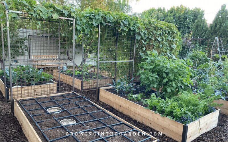 Raised Bed Garden design tips: How to design a raised bed garden #raisedbeds #gardendesign