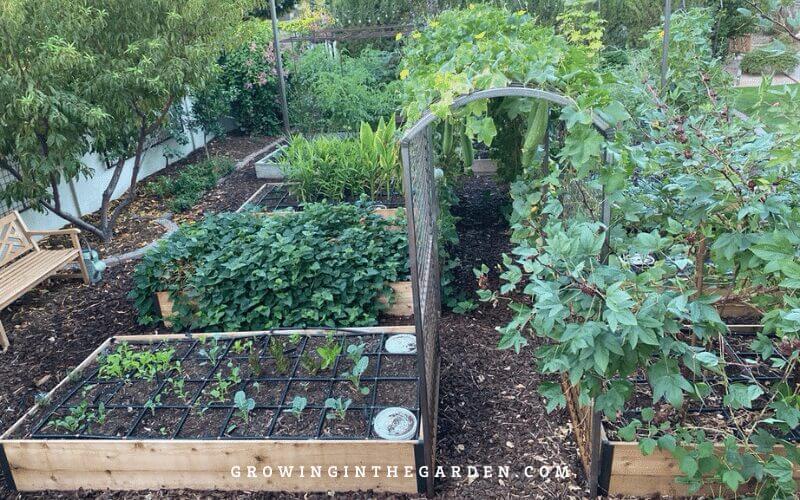 Raised Bed Garden design tips: How to design a raised bed garden #raisedbeds #gardendesign