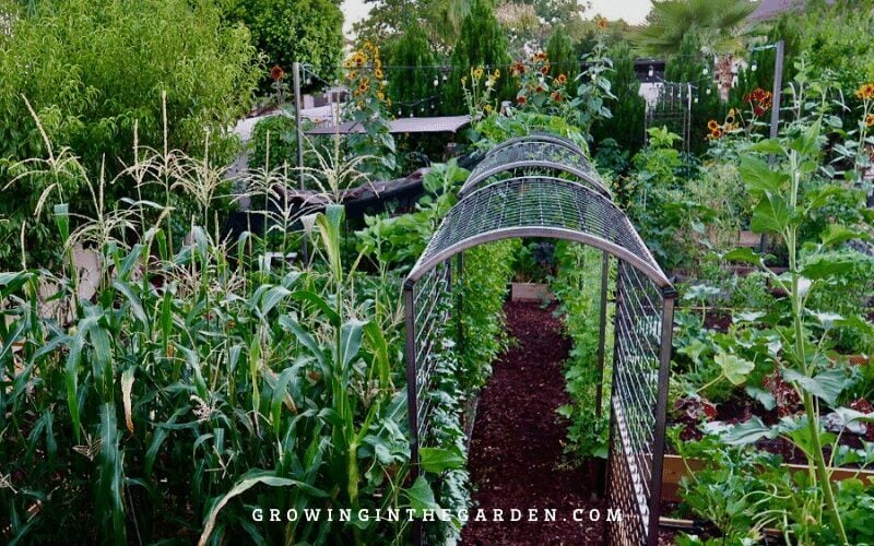 Raised Bed Garden design tips: How to design a raised bed garden #raisedbeds #gardendesign