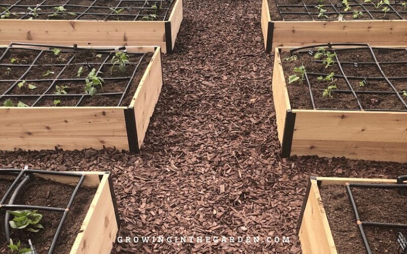 Raised Bed Garden design tips: How to design a raised bed garden #raisedbeds #gardendesign