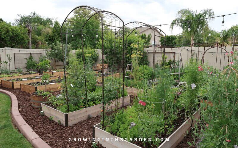 Raised Bed Garden design tips: How to design a raised bed garden #raisedbeds #gardendesign