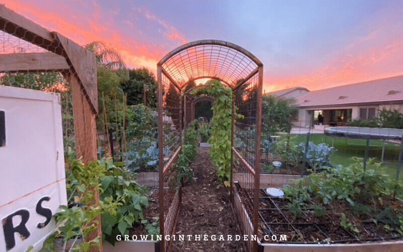 Raised Bed Garden design tips: How to design a raised bed garden #raisedbeds #gardendesign