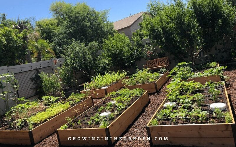 Raised Bed Garden design tips: How to design a raised bed garden #raisedbeds #gardendesign