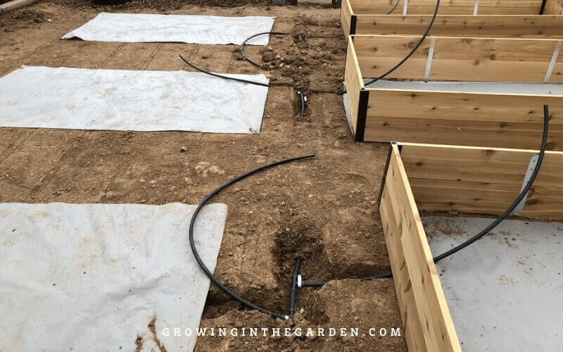 Raised Bed Garden design tips: How to design a raised bed garden #raisedbeds #gardendesign