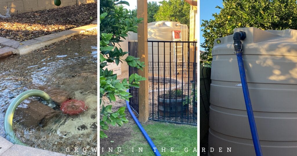How to Water Your Garden With Flood Irrigation