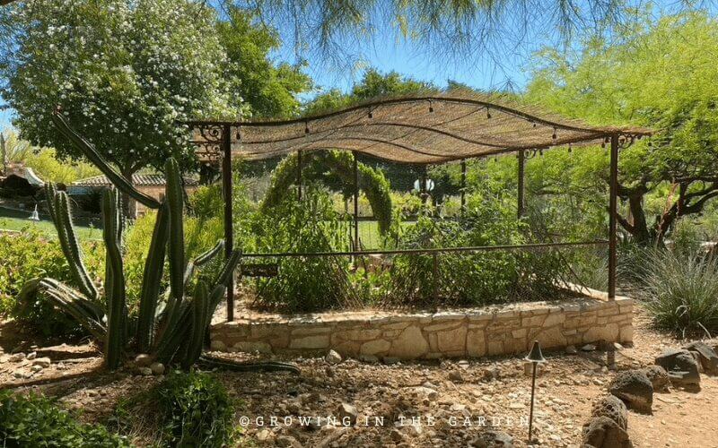 Here are some pictures I took from my previous gardens or other gardens that have added shade. You may get some ideas or inspiration to implement in your own garden.