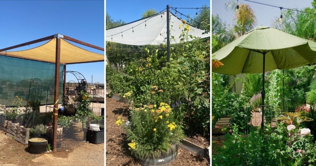 Three garden shade structures—ideal for a hot climate summer garden—include a shade sail, fabric canopy, and green patio umbrella over lush plants.