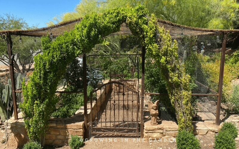 Here are some pictures I took from my previous gardens or other gardens that have added shade. You may get some ideas or inspiration to implement in your own garden.