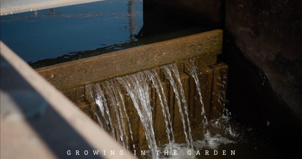 How to Water Your Garden With Flood Irrigation