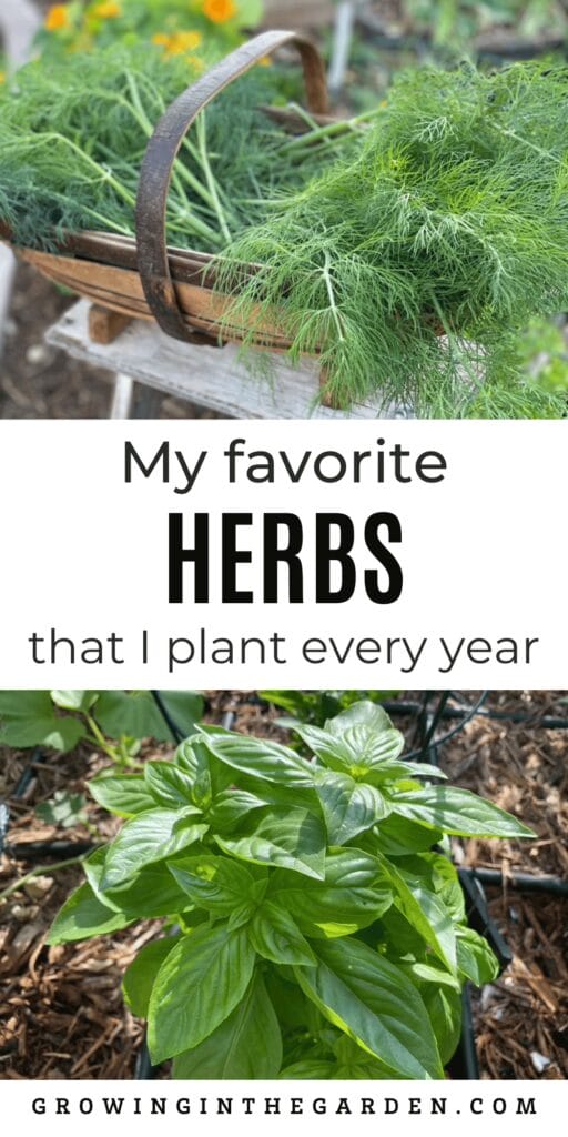 If this post about my favorite crop varieties to grow was helpful, please share it: