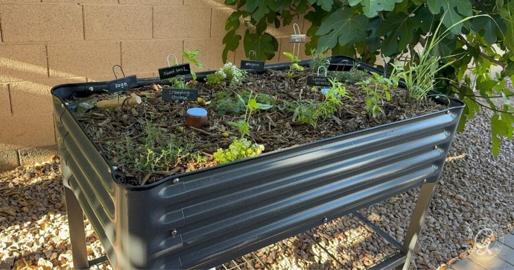 An elevated garden bed with various herbs and plants growing in labeled sections, set on a gravel surface beside a brick wall and leafy tree—ideal for gardeners seeking success in hot climates.