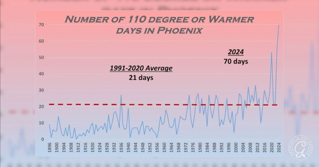 Graph showing a sharp rise in Phoenix 110°F+ days, peaking at 70 days in 2024; average is 21 days—a striking trend highlighting the challenges of maintaining a summer garden in this hot climate.
