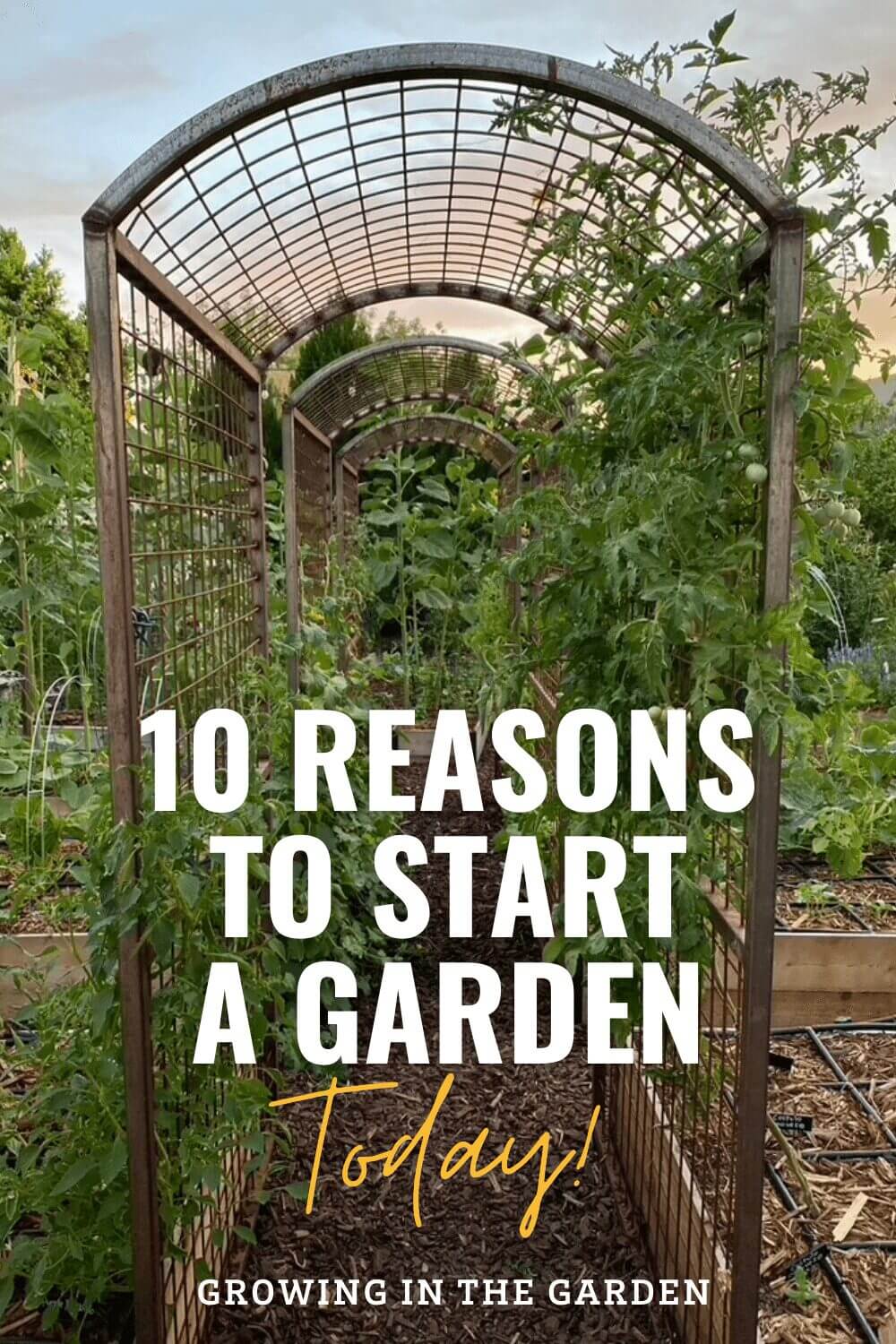 10 Reasons to Start a Garden Today