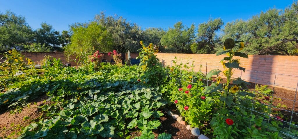 Sunken Garden Beds: Water-Wise Gardening in the Desert