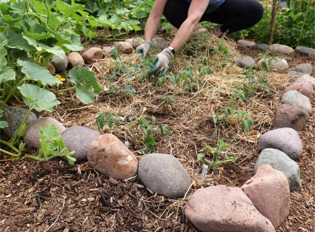 Sunken Garden Beds Step Eight: Add Mulch and Shade 