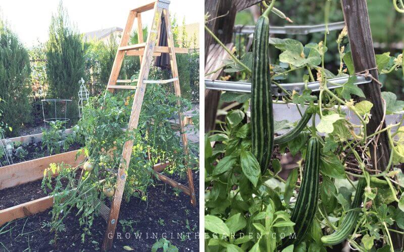 Vertical Gardening Ideas