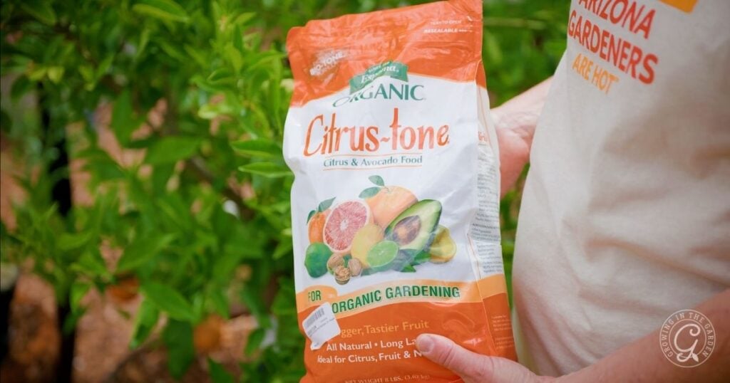 A person holds a bag of Espoma Organic Citrus-tone plant food in front of lush green foliage, perfect for those wondering how to fertilize citrus and avocado plants for healthy growth. The bag is labeled for citrus and avocado gardening.