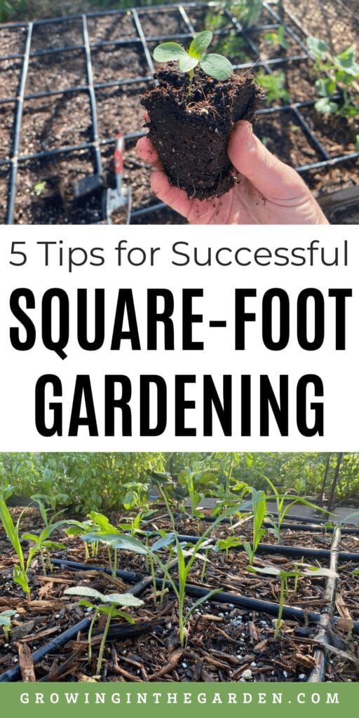 5 Tips for a Successful Square Foot Garden