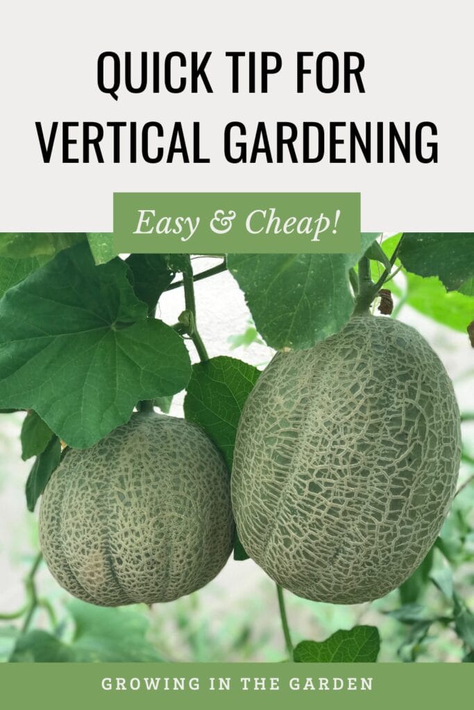 Add Vertical Space to Your Garden in 15 Seconds!