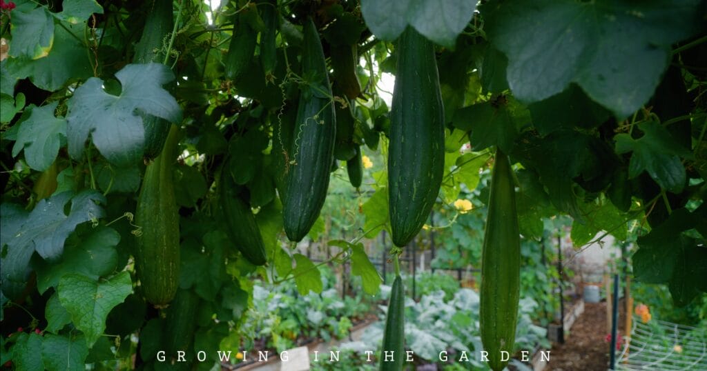 10 New Gardener Mistakes: What To Do Instead