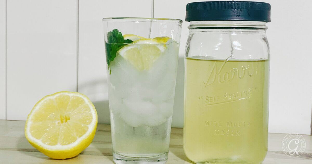 okra water with lemon