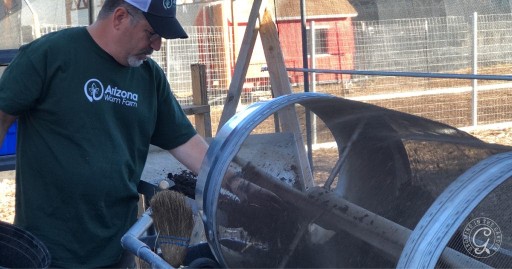 Why Add Worms to Your Garden: Benefits of Worm Castings