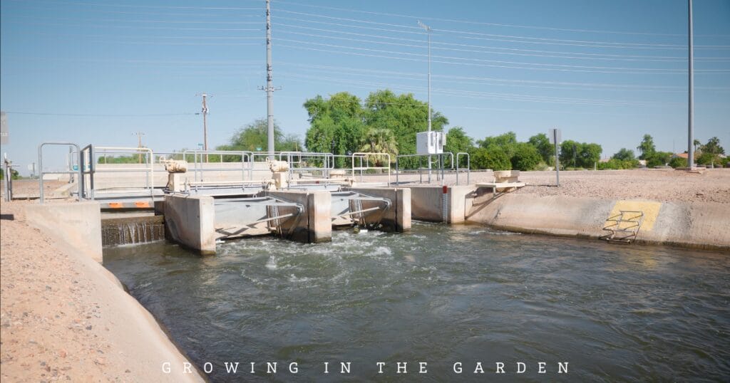 How to Water Your Garden With Flood Irrigation