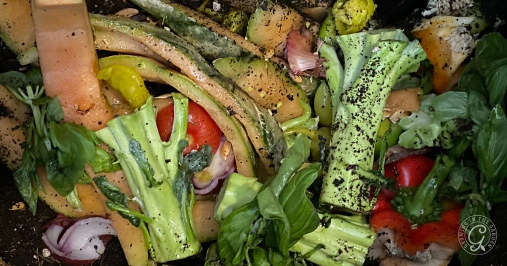 Why Add Worms to Your Garden: Benefits of Worm Castings