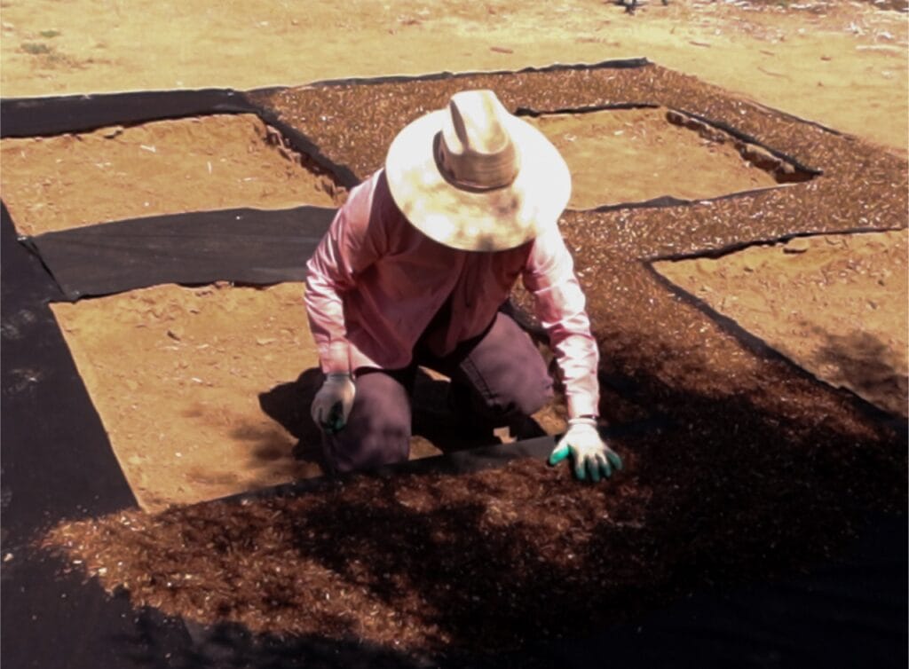 Generally, I don’t like to use landscape fabric. I think it’s best for soil health to cover the ground with a thick layer of untreated wood chips. This keeps weeds in check and adds organic matter to the soil as the wood breaks down. When planning this garden area, I made an exception. 