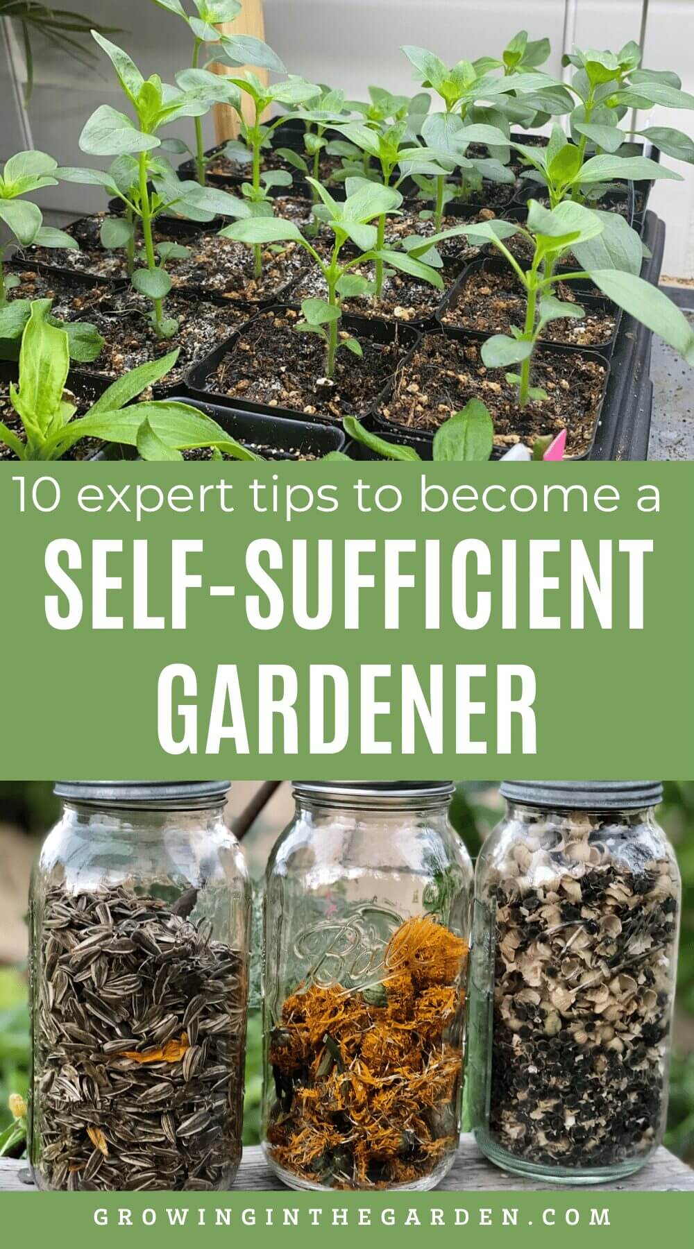 If this post about self-sufficient gardening was helpful, please share it: 