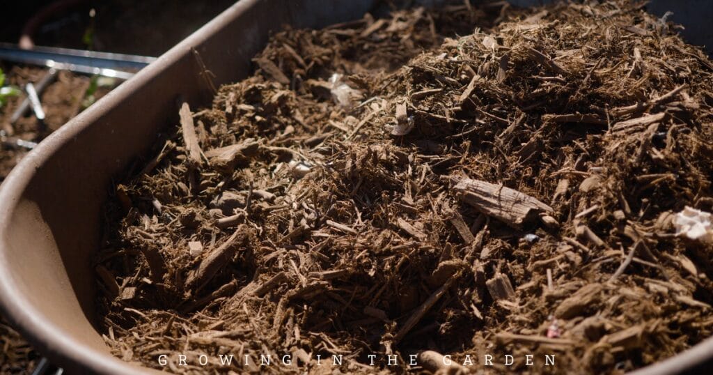 Do metal beds heat up more than wooden garden beds? See the temperature readings from four weeks of testing and make an informed decision.