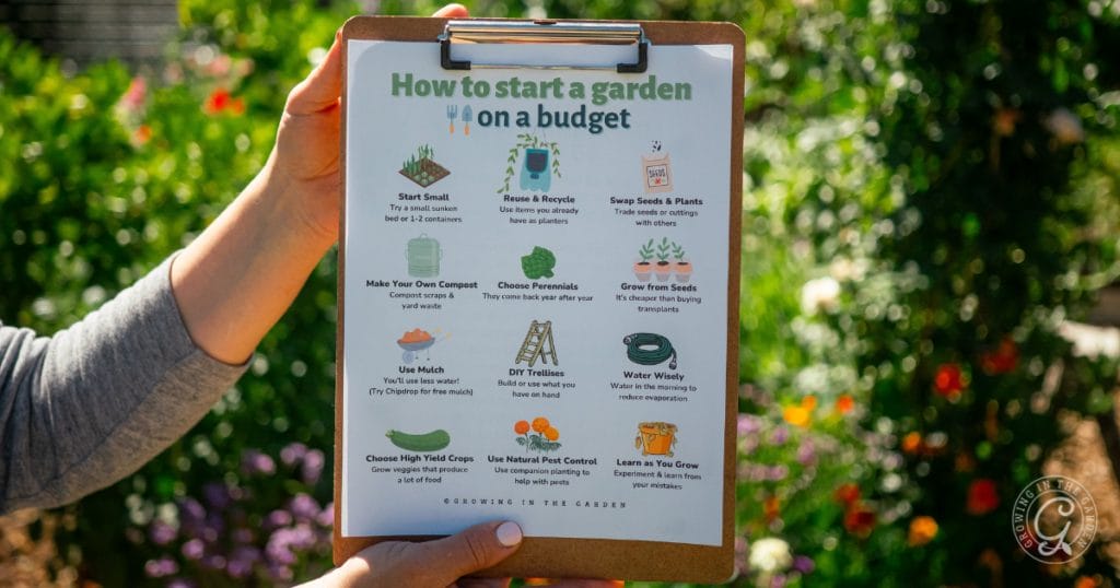 How to Start a Garden on a Budget